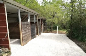 bbtl456 chemin boxes chevaux